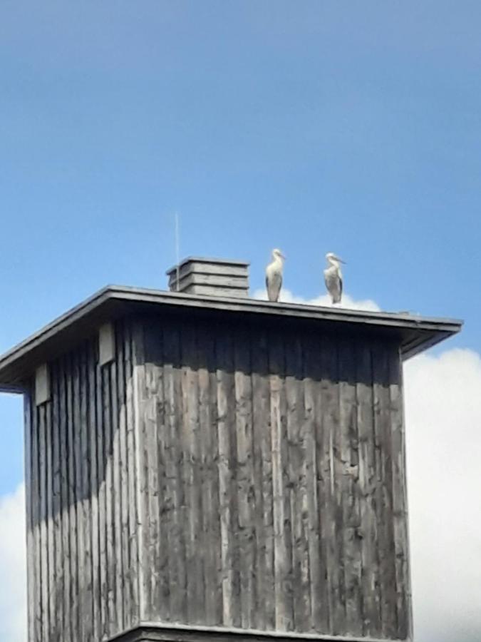 Ferienwohnung Am Schloss Reuterstadt Stavenhagen Exterior foto
